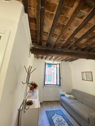 Apartmán Apt Bruco Siena Exteriér fotografie